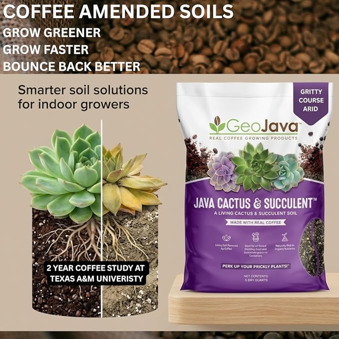 Java Cactus & Succulent Soil: A Gritty, Fast‑Draining, Peat-Free, Ready‑to‑Use Potting Mix for Cacti & Succulents -Keeps Roots Well Aerated for Indoor Pots & Plants. USA Made (6QT)