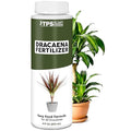 Dracaena Fertilizer – Liquid Plant Food for Rich Green Leaves & Strong Cane Growth, 8 oz
