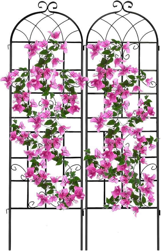 2 Pack 71x20in Garden Trellis, Black Metal Coating Rustproof, Easy to Install + Perfect for Supporting Climbing Plants Outdoor Roses, Vines, Flowers, and Vegetables