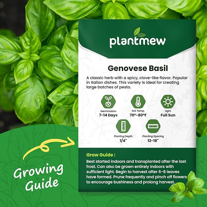Genovese Basil Seeds for Planting - 500 Heirloom, Non-GMO Seeds - Genovese Basil Herb Seeds for Home Herb Garden, Indoor & Outdoor Herb Gardening