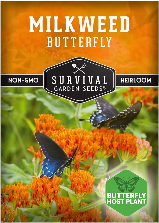 Butterfly Milkweed Seeds for Planting with Instructions to Grow Asclepias Tuberosa - Attract Butterflies & Help Conservation - Non-GMO Heirloom Open-Pollinated - Survival Garden Seeds (1 Pack)