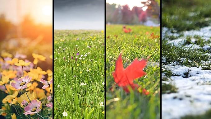 soilCORRECTION System, Soil Test Analysis and 4 Season Nutrient Management Plan, Scientific Instructions for Healthier Lawns