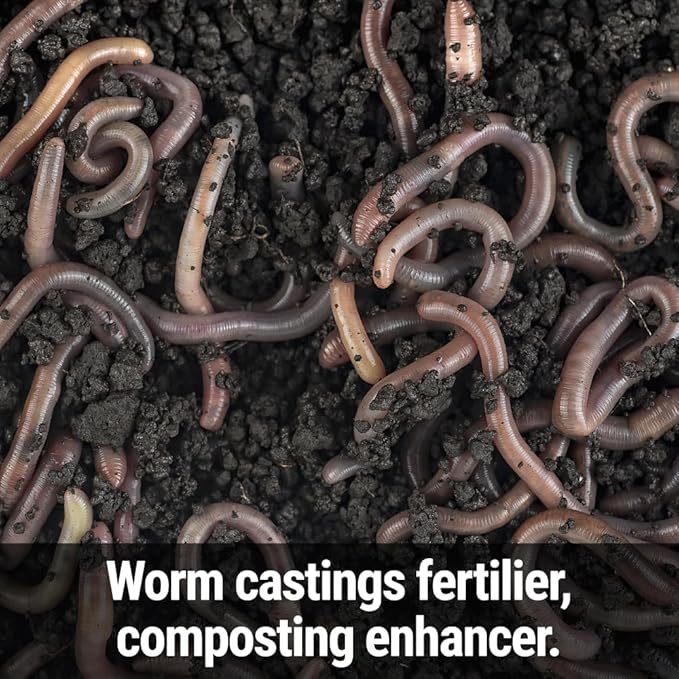 Seedlingers Worm Magic Worm Castings 2.5 Pound Granular