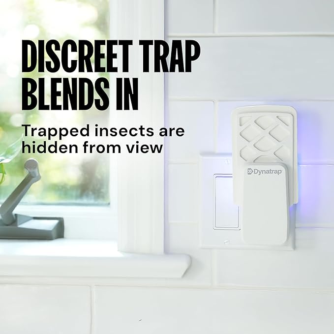 Dynatrap DT3007 Indoor Plug-in Fly Trap for Flies, Fruit Flies, Moths, Gnats, and Other Flying Insects - 1 Black Device + 2 Glue Cards