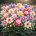 500+ Columbine Seeds for Planting Outdoors – Aquilegia Perennial Flower Seeds, Pollinator Friendly Wildflower Garden Flowers, Cottage Garden Flower Seeds for Spring Planting (Mix,500)