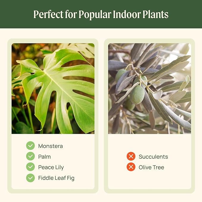 15 Inch Self-Watering Planter for Indoor Plants – Large Modern Plant Pot with Built-In Water Reservoir, Ideal for Monstera, Fiddle Leaf Fig, Palms & Peace Lily, Without Trellis, Cream White