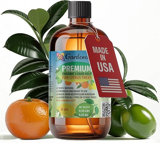 Gardenera Premium Kelp Concentrate for Citrus Trees - 24 oz - Amplify Fruit Size and Taste for a Satisfying Harvest