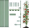 Plant Stakes 12 Inch, 12-Pack Stackable Plant Support Stakes with 12 Clips, Extendable Plant Holder Sticks for Tomato, Orchid, Monstera, Indoor Outdoor Plants (12)