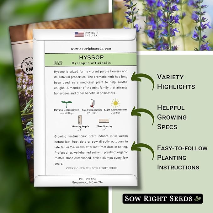 Sow Right Seeds - Hyssop Seed for Planting - Medicinal Herb to Plant in Your Garden - Outdoors - Attracts Pollinators - Stunning Purple Flowers - Non-GMO Heirloom Seeds - Great Gardening Gift (1)