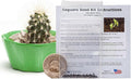 Grow Your Own Saguaro Cactus Kit (Carnegiea gigantea) – Cactus Seeds – Seed Starter Peat Pellets Pods - Southwestern Gift Idea - Seed Growing