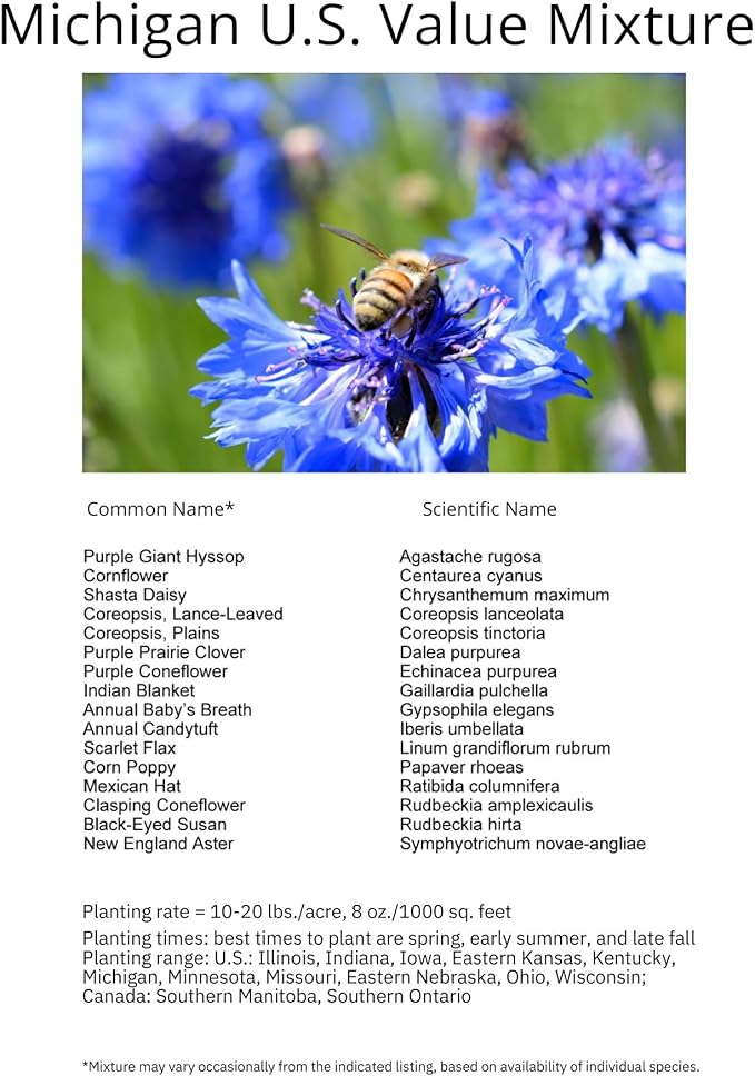 Michigan Bulk Perennial Wildflower Seed Mix 1lb Covers 2,000sq-ft - Attract Pollinators, Multi-Color Blooms - Midwest US Species Plant in Spring/Fall - Earth-Friendly Packaging (1/2 Pound)