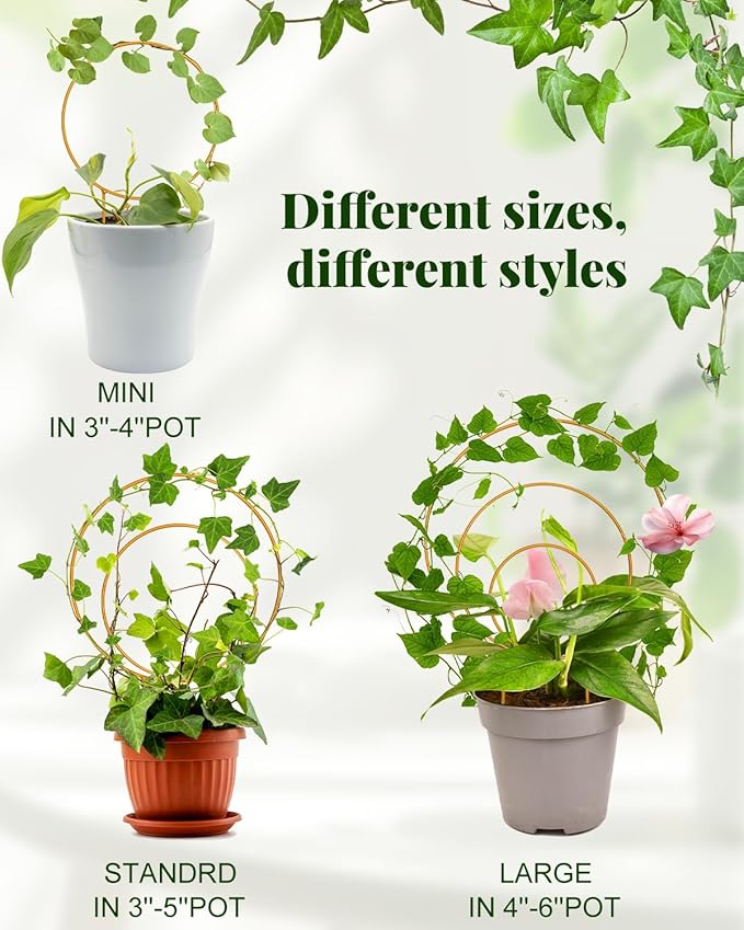 Unique Round Hoya Trellis, 3 Pcs Different Small Houseplant Trellis for Indoor Climbing Plant, Garden Trellis Plant Support for Potted Ivy and Flowers Outdoor(Gold)