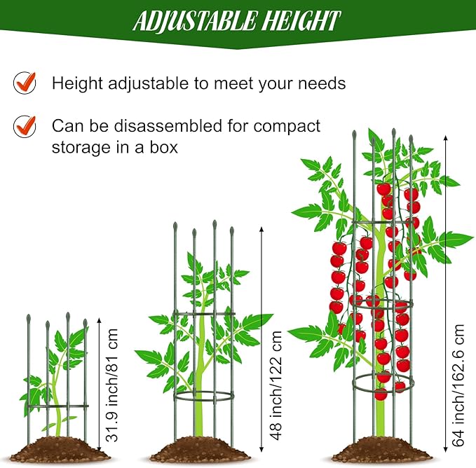 6 Pack Tomato Cages for Garden Plant Support 64 Inches Tall Garden Trellis Plant Stakes for Indoor Outdoor Plants Climbing Plants Vegetable Fruit Crop Flower Vine, Green