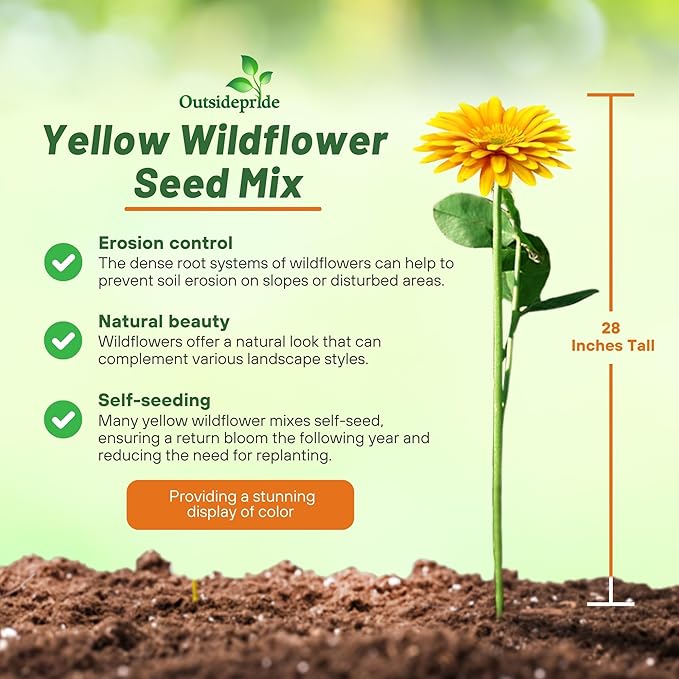 Outsidepride Yellow Color Shades Mix Wildflower Seeds - 5000 Pcs Annual Easy to Grow, Low Maintenance, Self-Seeding Flower Seeds w/Vibrant Blooms for Pollinator-Friendly Gardens, Containers & Borders