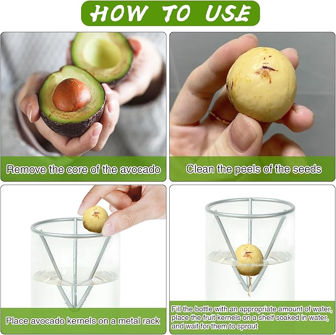 Avocado Tree Growing Kits, Avocado Growing Vase Wooden Base Avocado Seed Starter Vase Glass Plant Pot Easy Seed Sprout Starter Gift for Women Gardening Lovers Home Office Table Decoration