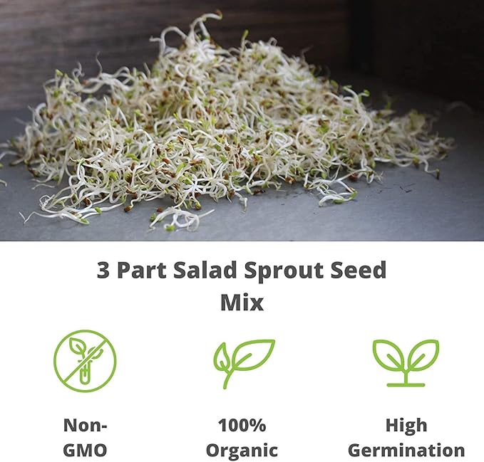 Certified Organic Alfalfa Sprouting Seed- 8 Oz - Handy Pantry Brand - High Sprout Germination- Edible Seeds, Gardening, Hydroponics, Growing Salad Sprouts, Planting, Food Storage & More