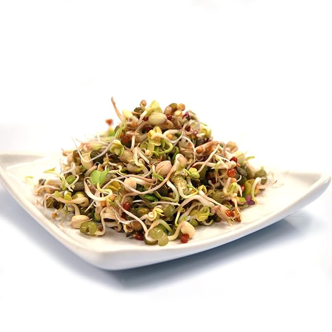 Todd’s Seeds - Protein Bean Sprouting Seed Mix - Green Pea - Mung Bean - Adzuki - Garbanzo - One Pound - Non GMO
