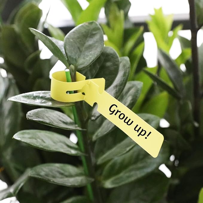 300 Pcs 6 Colors Plastic Plant Hanging Tree Tags Nursery Garden Lables Tags Large Writing Surface,2x20cm
