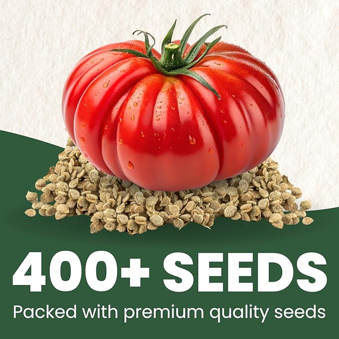 Beefsteak Tomato Seeds – Over 400 Premium Heirloom Seeds for Planting for The 2026 Season – Juicy, Flavor-Rich Garden Favorite – 1 Gram Pouch