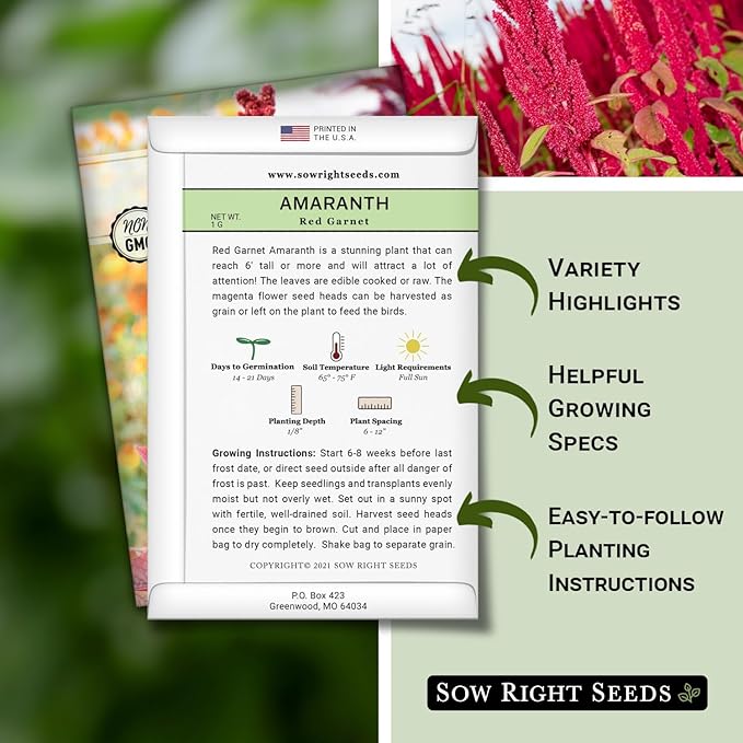 Sow Right Seeds - Red Garnet Amaranth Seeds for Planting - Non-GMO Heirloom Packet with Instructions to Plant & Grow an Outdoor Home Vegetable Garden - Colorful & Unique - Trailing Variety (1)