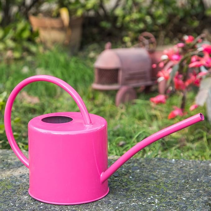51 Ounce/1.5L Watering Can for Indoor and Outdoor Plants - Long Spout Water Can for Garden, Flower, House Plants, Decorative Watering Can(Rose)