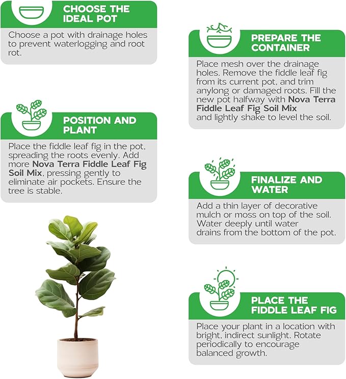 Fiddle Leaf fig Soil Plant Food fig Trees Live Plants Fertilizer Seed Starter Soil Plant Chunky Perlite 4 cu ft Plant pots Indoor with Drainage Free 2 oz Bag of Fertilizer Pellets Inside 2.4 Qts