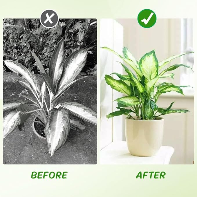 Iron Monstera Support, 4 PCS Plant Stem Support Plant Support Stakes for Indoor Plants and Flowers Stable Plant Stakes and Supports Turtle Shell Bamboo Clamp Set for Thriving Growth