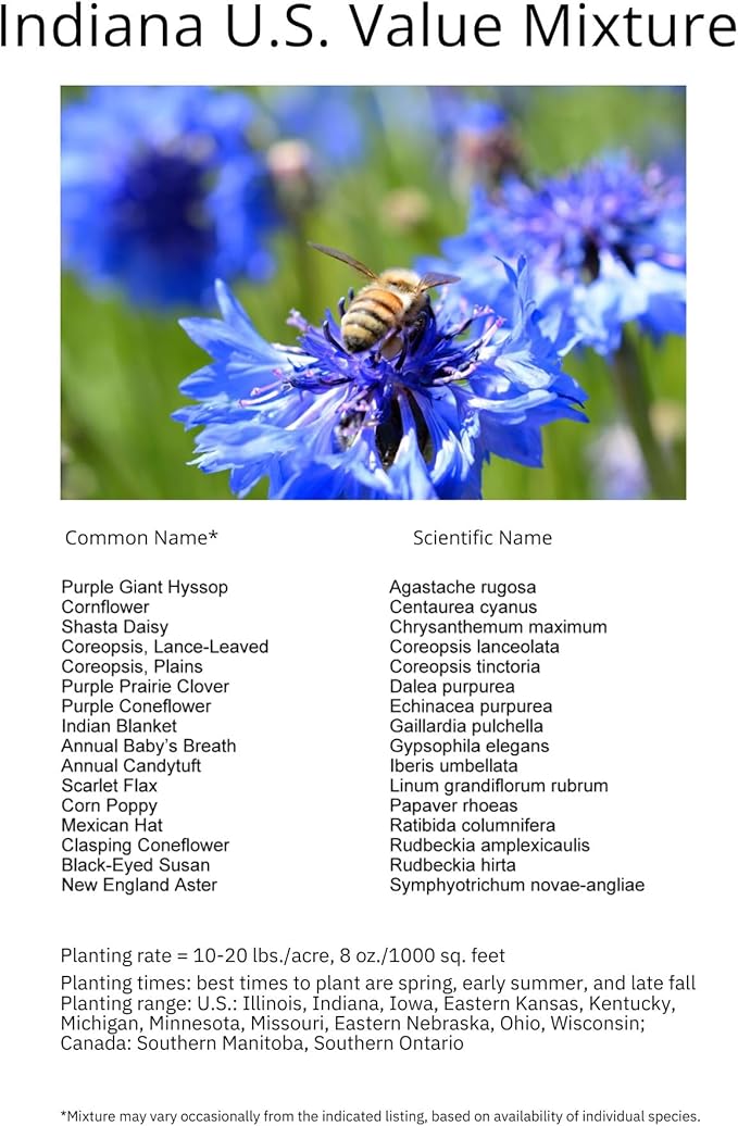 Indiana Bulk Perennial Wildflower Seed Mix 1lb Covers 2,000sq-ft - Attract Pollinators, Multi-Color Blooms - Midwest US Species Plant in Spring/Fall - Earth-Friendly Packaging (1/2 Pound)