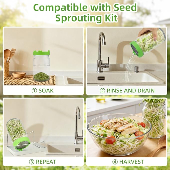 Organic Mung Bean Sprout Seeds (16 oz), Certified Non-GMO, Heirloom Seeds, Premium Mung Bean Sprouting Seeds for Sprouting and Microgreens, High Yield High Germination, Resealable Bag