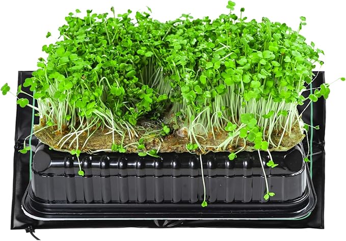 MECCANIXITY Plant Heating Mat Heating Pad 20.67" x 19.69" US 110V/120V Waterproof Warm Heat Mat for Nursery Starting Indoor Plant