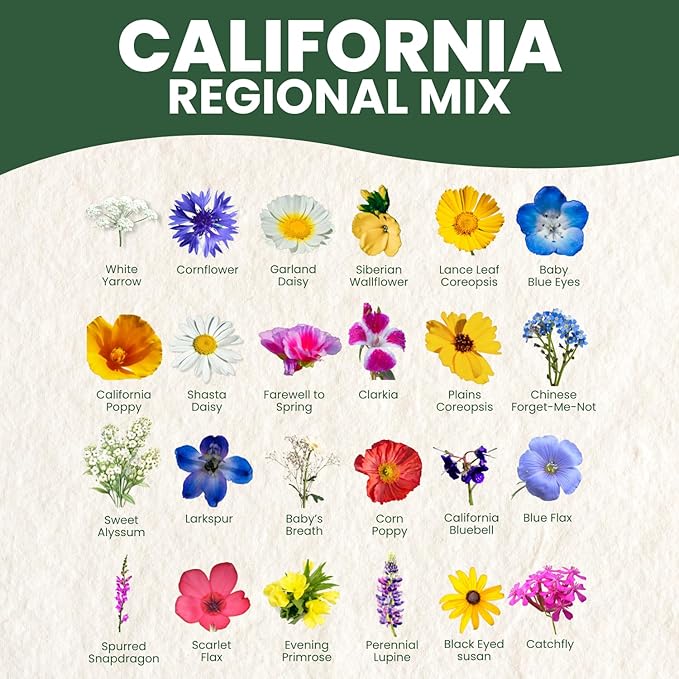 California Regional Mix – 79,000 Seeds for Planting – 2026 Season – 4 Ounce Pouch