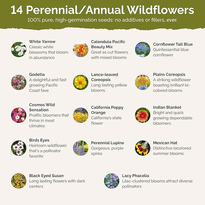 Eden Brothers Bird & Butterfly Wildflower Mixed Seeds for Planting, 25 lb, 12,000,000+ Seeds with Cosmos, Indian Blanket | Attracts Pollinators, Plant in Spring or Fall, Zones 3, 4, 5, 6, 7, 8, 9, 10
