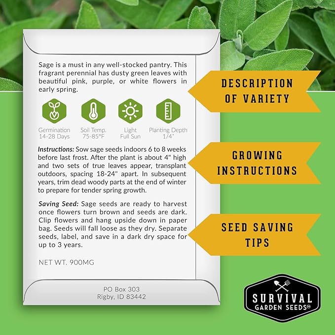 2 Packs Culinary Sage Seed for Planting - Packet with Instructions to Grow Salvia Officinalis Herbs in Your Home Vegetable Garden - Non-GMO Heirloom Variety - Survival Garden Seeds