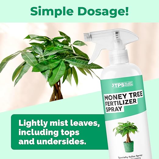 Money Tree Fertilizer Spray, Gentle Foliar Feeding Spray for Healthy Leaves and Plants, Liquid Fertilizer by TPS Plant Foods, 16oz (475ml)