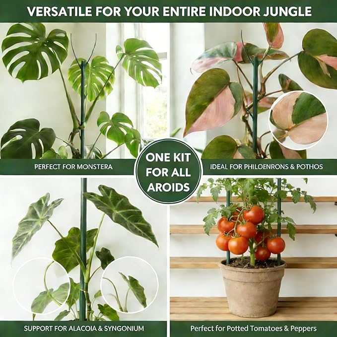 Tree Branch Plant Support Stakes – Stackable Plant Support Sticks with Clips & Velcro Tie – Natural Aesthetic Extendable Trellis for Indoor Plants, Monstera, Pot (Green-12 Pack)