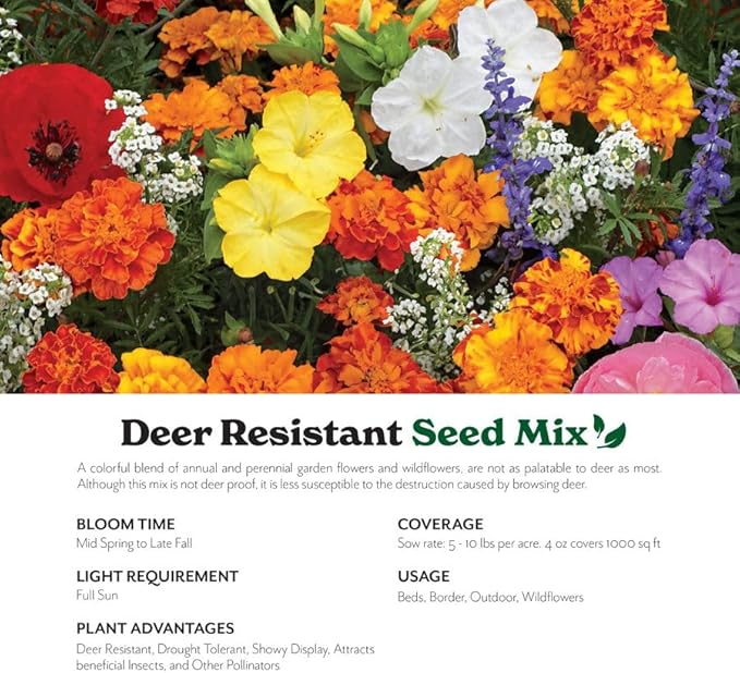 Grow Your Own Vibrant Annual and Perennial Wildflower Garden Seed Mixture, Varieties for Pollinators and Spring Gardens - Deer Resistant Mix, 5 lbs