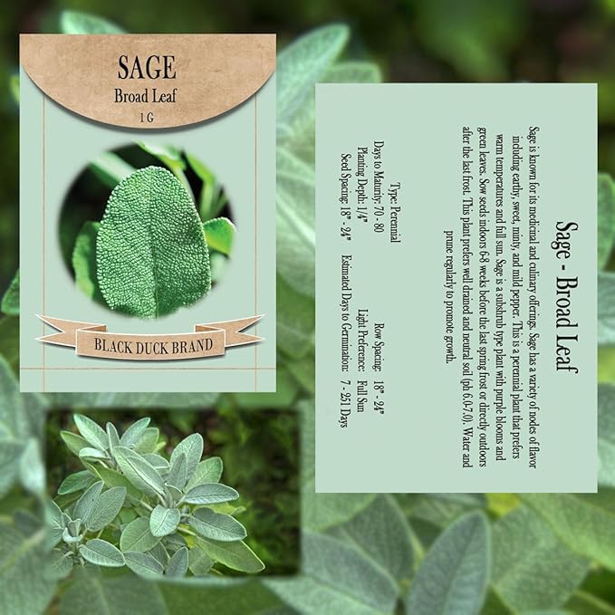 Italian Kitchen Herb Garden Seed Kit – 7 Classic Culinary Varieties for Authentic Cooking – Non-GMO & Heirloom Seeds – Includes Basil, Oregano, Parsley, Rosemary, Thyme, Sage & Garlic Chives