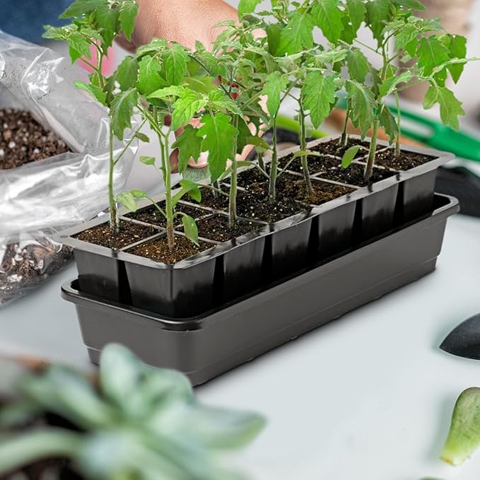 Willinglong 6 Pcs 12-Cell Replacement Capillary Mats, Self Watering Seed Starting Tray Watering Mat for Indoor Greenhouse Gardening (18.5 x 3.54 Inches)