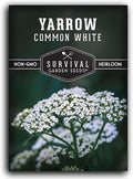 Yarrow Seeds for Planting - White Common Heirloom Medicinal Herb Seeds for Dye & Pollinator Gardens, Easy to Grow Perennial Flowers - Survival Garden Seeds (1 Pack)