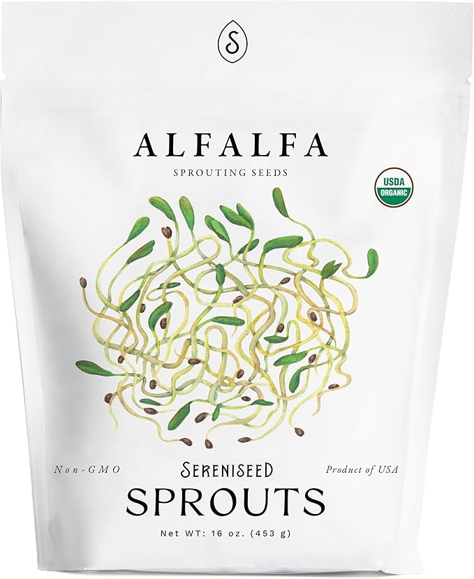 Organic Alfalfa Sprout Seeds (16 oz) – Non-GMO, Heirloom Seeds for Sprouting and Microgreens