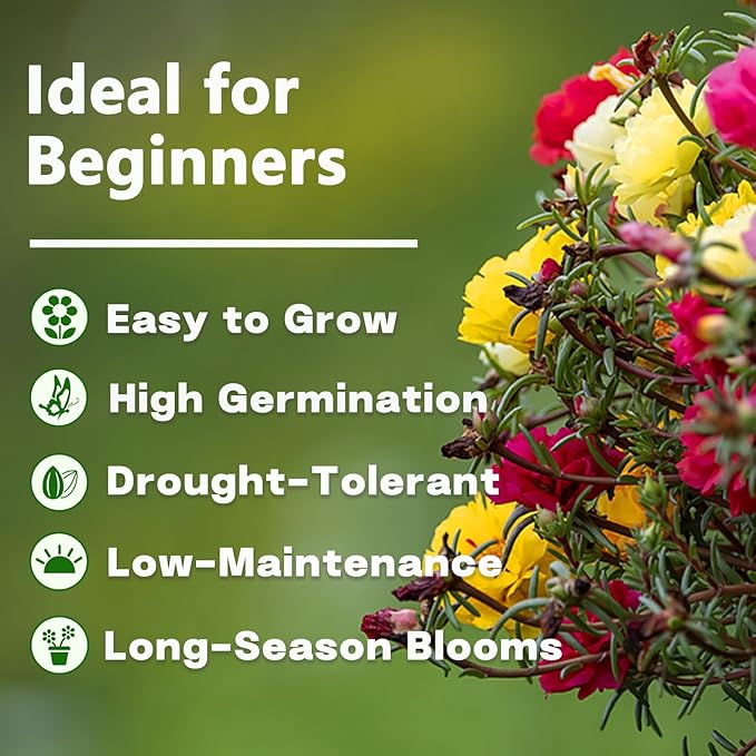 Portulaca Grandiflora & Moss Rose Seeds | 10,000+ Annual Non-GMO Heirloom Seeds for Planting Moss Roses, Rock Gardens & Climbing Roses | High Germination, Beginner-Friendly