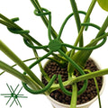 2 Pcs Free-Form Bending Silicone Plant Stem Support, L Size Flexible Hook Monstera Stem Supports, Reusable Silicone Plant Climbing Stakes Indoor Outdoor