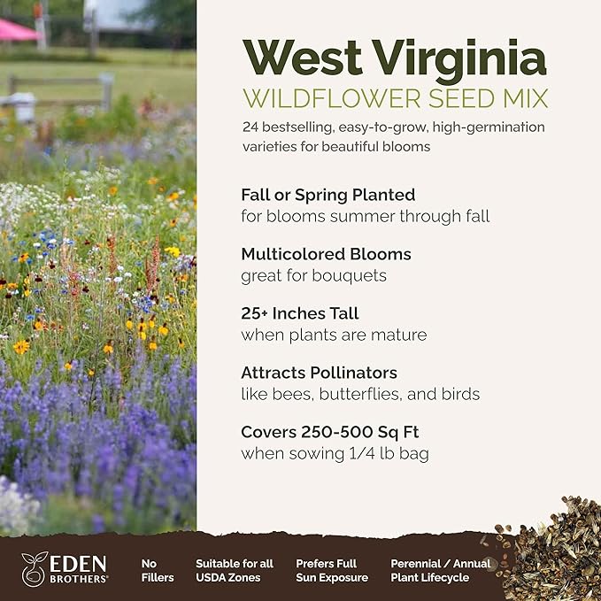 Eden Brothers West Virginia Wildflower Mixed Seeds for Planting, 1/4 lb, 120,000+ Seeds with Cornflower, Lupine | Attracts Pollinators, Plant in Spring or Fall, Zones