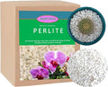 Natural Organic Perlite 20QT for Plants Potting Mix Indoor Outdoor Garden Soil Amendment for Enhanced Drainage, Seed Starter, Root Growth for Succulents, Cactus, Orchids, Money Trees, Vegetables