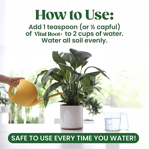 Root Rot Treatment & Plant Transplant Shock Recovery – Liquid Supplement for Indoor Plants, Fiddle Leaf Fig, Monstera & Pothos | Heals Roots, Prevents Brown Spots & Leaf Drop, 8 oz – Vital Root+