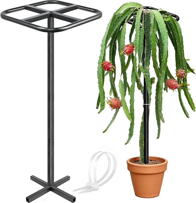 Extra Thick Adjustable Dragon Fruit Trellis,Durable Metal Plant Trellis Outdoor Climbing Plants Support Frame for Vertical Gardening Trees Cactus Black