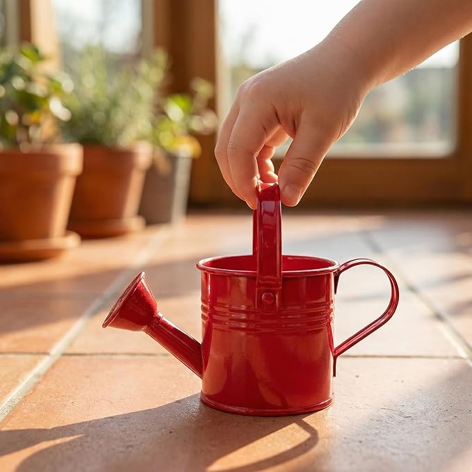 DOITOOL 2 Pack Kids Metal Watering Can for Gardening, Small Iron Watering Can Set for Indoor Outdoor Plants, Mini Toddler Water Pot for Succulents Houseplants Bonsai (Blue, Red)