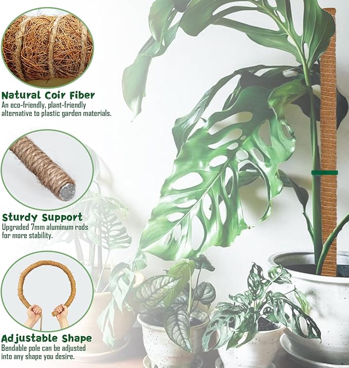 1 Pack 63Inch Bendable Tall Moss Pole for Monstera, 160cm Plant Support Moss Sticks Stakes for Climbing Indoor Plants, Pothos & Philodendron - Coir/Coco Plant Trellis for Potted Climbers & Houseplants