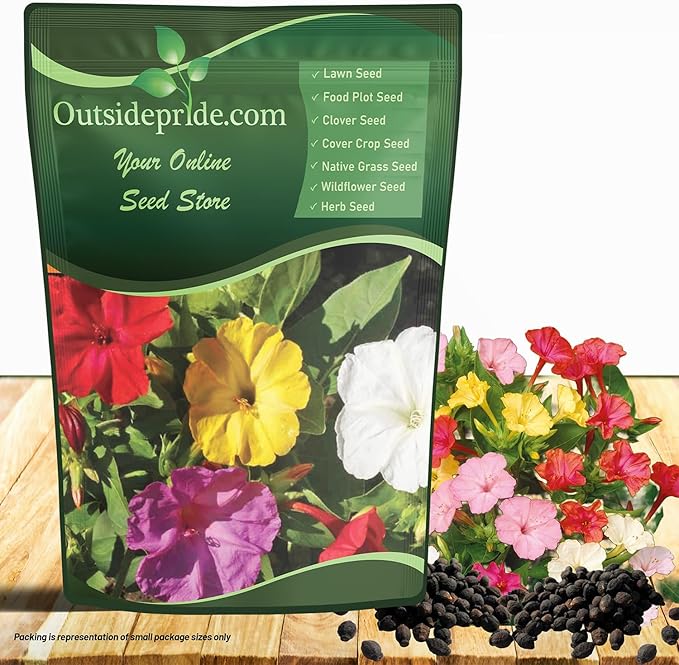 Outsidepride Mixed Four O'clock Flower Seeds - 5 lb Perennial Fragrant, Trumpet-Shaped Blooms, Deer-Proof & Easy to Grow, for Pollinator & Evening Gardens, Containers, Hedges, or Borders