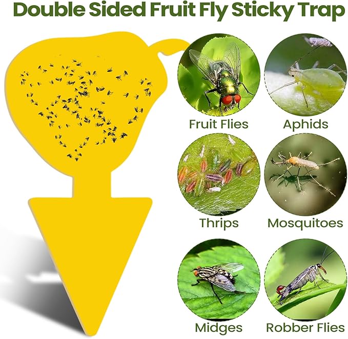 Qualirey 200 Sheets Fruit Fly Sticky Traps for Fruit Fly Gnat Trap for House Indoors Sticky Traps Catcher for Gnats Fungus Gnats Mosquito Catcher for Kitchen Outdoor Plants (Cute Style, Yellow)